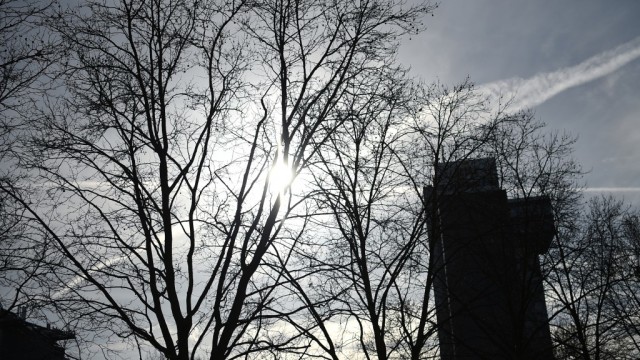 As árvores ainda estão sem folhas, o sol já brilha em ponto mais alto do céu. Abril é mês de transição entre o frio e o calor moderado de Berlim (Foto: BZ.de)