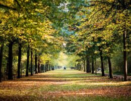 Parques de Berlim, Tiergarten